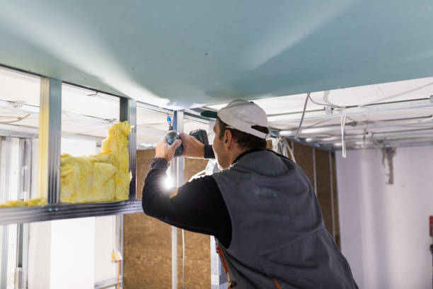 Best Eco-Friendly Insulation in Moreno Valley, CA